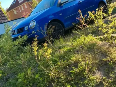 Gebraucht VW Polo 75 PS (55 kW) 2004 Blau Kleinwagen
