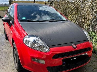 Gebraucht Fiat Punto 69 PS (50 kW) 2016 Rot Kleinwagen