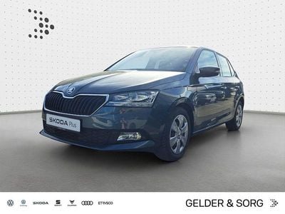 Gebraucht Skoda Fabia Cool Plus 60 PS (44 kW) 2021 Grau Limousine