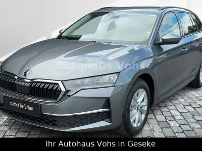 Neu Skoda Octavia Selection 150 PS (110 kW) 2025 Grau Kombi