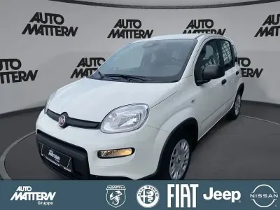 Occasion Fiat Panda 69 ch (50 kW) 2024 Blanc Citadine