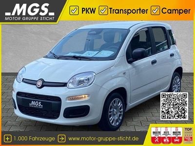Neu Fiat Panda 69 PS (50 kW) 2025 Weiß Kleinwagen