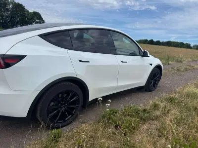 Gebraucht Tesla Model Y RWD 219 kW (299 PS) 2023 Weiß SUV