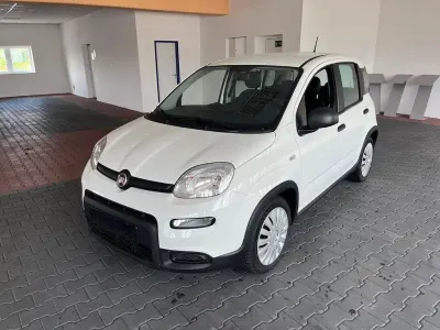 Gebraucht Fiat Panda 69 PS (50 kW) 2023 Weiß Kleinwagen