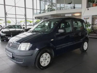 Gebraucht Fiat Panda Active 54 PS (39 kW) 2010 Blau Kleinwagen