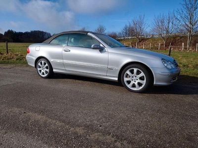 Gebraucht Mercedes CLK500 Elegance 306 PS (225 kW) 2005 Silber Cabrio