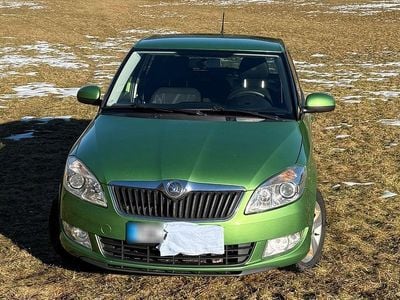 Gebraucht Skoda Fabia Fresh 86 PS (63 kW) 2014 Grün Kleinwagen