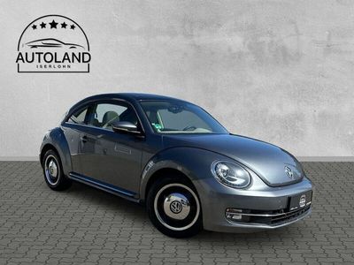 VW Beetle
