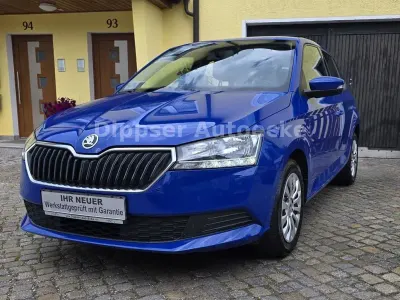 Gebraucht Skoda Fabia Cool Plus 60 PS (44 kW) 2019 Blau Kleinwagen