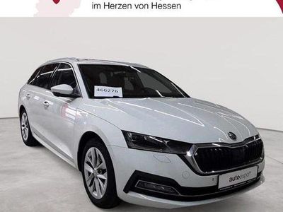 Gebraucht Skoda Octavia First Edition 150 PS (110 kW) 2020 Candyweiß uni Kombi