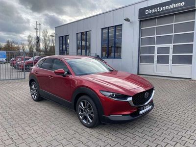 gebraucht Mazda CX-30 SKYACTIV-X Selection Bose Design-Paket Matrix-LED