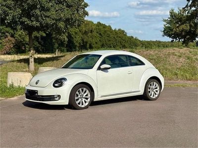 VW Beetle