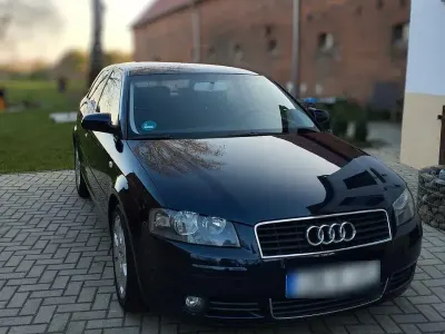 Używany Audi A3 Ambition 102 KM (75 kW) 2004 Niebieski Hatchback