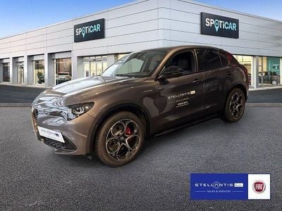 Gebraucht Alfa Romeo Stelvio Veloce 209 PS (153 kW) 2026 Grau SUV