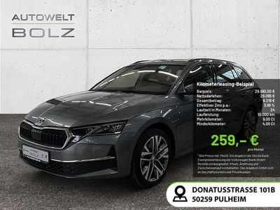 Usata Skoda Octavia Selection 150 CV (110 kW) 2024 Grigio Berlina