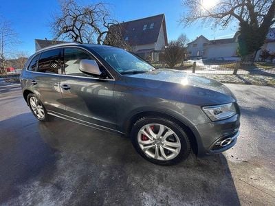 Grau Gebraucht 2017 Audi SQ5 Competition SUV | 18.990 € (Superpreis)