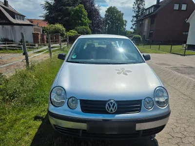 Gebraucht VW Polo Cricket 54 PS (39 kW) 2004 Silber Kleinwagen