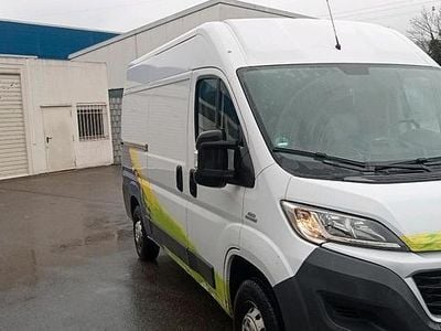 Weiß Gebraucht 2016 Fiat Ducato Van | 11.500 € (Guter Preis)