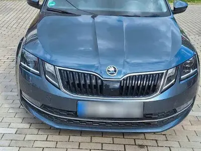 Gebraucht Skoda Octavia Tour 150 PS (110 kW) 2020 Grau Kombi