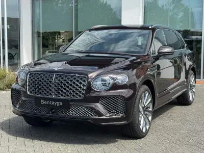 Neu Bentley Bentayga 551 PS (405 kW) 2026 Braun SUV