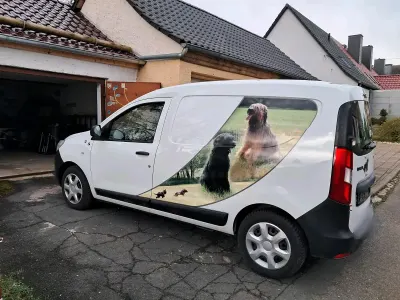Second-hand Dacia Dokker 102 CP (75 kW) 2017 Monovolum