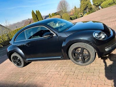 gebraucht VW Beetle 1,4 TSI *Inspektion u. TÜV werden neu gemacht*