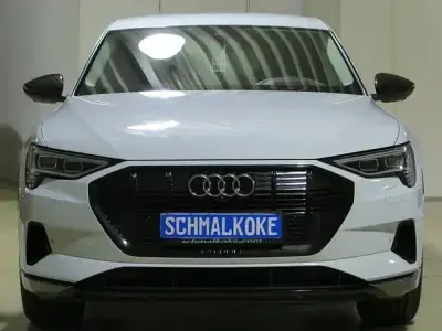 Gebraucht Audi e-tron Ambiente 300 kW (408 PS) 2022 Gletscherweiss (metallic) SUV