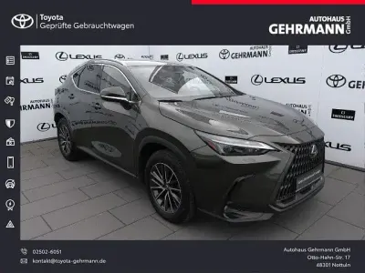 Gebraucht Lexus NX450h+