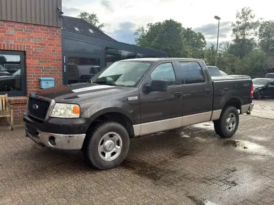 Gebraucht Ford V8 305 PS (224 kW) 2007 Braun Pickup