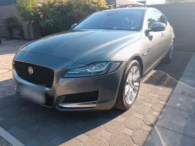 Gebraucht Jaguar XF Portfolio 300 PS (220 kW) 2016 Grau Limousine