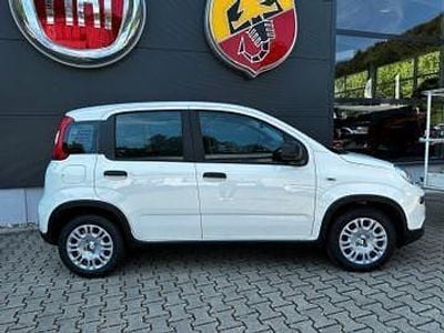 Neu Fiat Panda Icon 65 PS (47 kW) 2026 Weiß Limousine