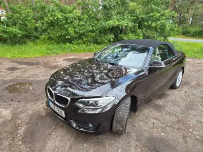 Gebraucht BMW 220 184 PS (135 kW) 2016 Braun Cabrio