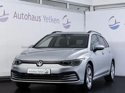 Brugt VW Golf VII Life 184 HK (135 kW) 2021 Andere Hatchback