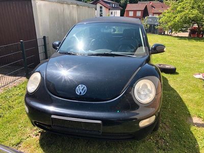VW Beetle