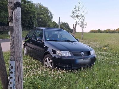 VW Polo
