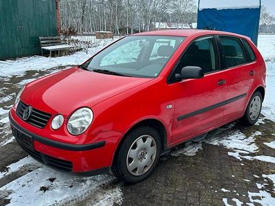Rot Gebraucht 2003 VW Polo Kleinwagen | 449 € (Guter Preis)