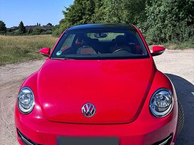 VW Beetle