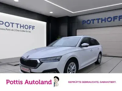 Gebraucht Skoda Octavia Style 150 PS (110 kW) 2023 Weiss Kombi