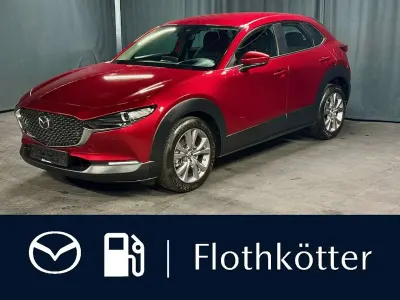 Gebraucht Mazda CX-30 Active 150 PS (110 kW) 2020 Rot SUV