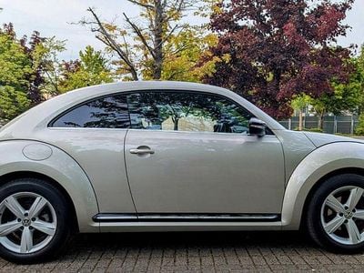 VW Beetle