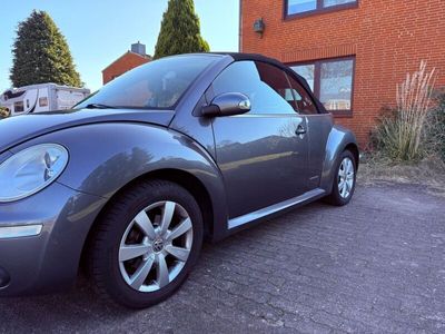 VW Beetle