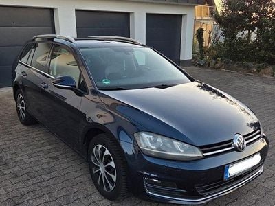 Usata VW Golf VII Highline 140 CV (102 kW) 2014 Blu Station wagon