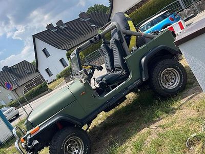 Gebraucht Jeep Wrangler 178 PS (130 kW) 1991 Grün SUV