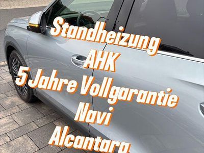 Silber Gebraucht 2024 VW Tiguan Elegance SUV | 38.700 € (Etwas zu teuer)