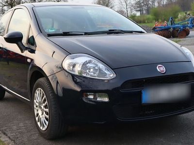 gebraucht Fiat Punto 1.2 8V STREET STREET