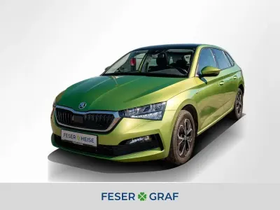Gebraucht Skoda Scala Drive 116 PS (85 kW) 2020 Grün Kleinwagen