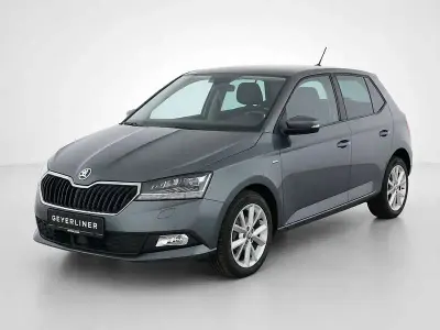 Gebraucht Skoda Fabia Ambition 75 PS (55 kW) 2019 Grau Kleinwagen
