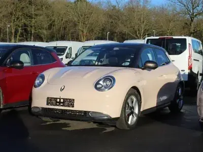 Usata Ora 03 125 kW (171 CV) 2023 Beige Utilitaria