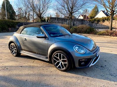 VW Beetle