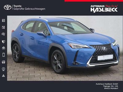 Gebraucht Lexus UX 250h Launch Edition 184 PS (135 kW) 2019 Blau SUV